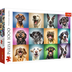 PUZZLE 1000 pcs - Funny Dogs #Portraits - TREFL