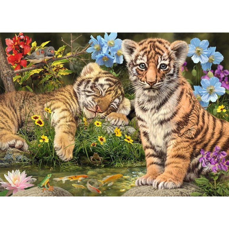 PUZZLE 1000 pcs - Tigres - SECRET Colection - DINO-0