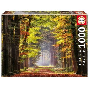 PUZZLE 1000 pcs Passeio Outonal - EDUCA