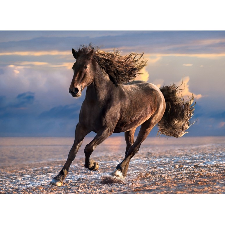 PUZZLE 1000 HQ Free Horse - CLEMENTONI-0
