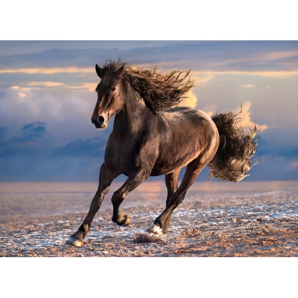 PUZZLE 1000 HQ Free Horse - CLEMENTONI-0