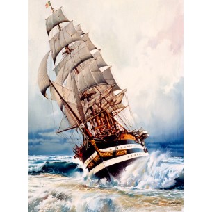 PUZZLE 1000 pcs Black Pearl - Anatolian