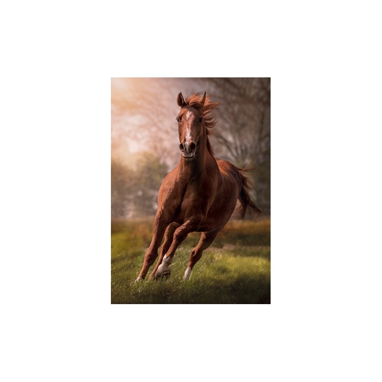 PUZZLE 1500 HQ The Horse - CLEMENTONI-0