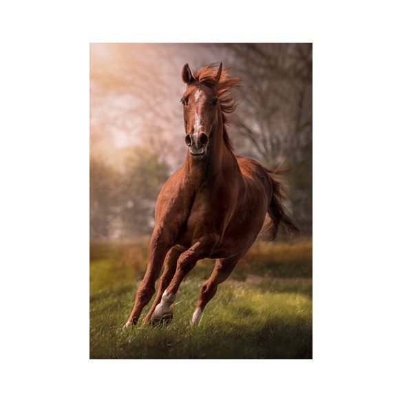 PUZZLE 1500 HQ The Horse - CLEMENTONI-0