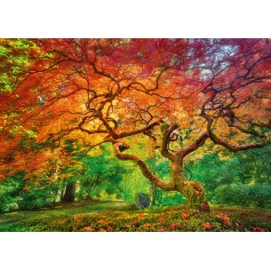 PUZZLE 1000 pcs - Arterial... 2