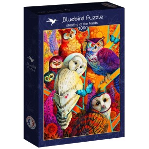 PUZZLE 1000 pcs - Meeting...