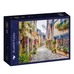 PUZZLE 3000 pcs - Old City...