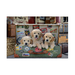 PUZZLE 500 pcs Cachorros na Mala - EDUCA 2