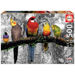 PUZZLE 500 pcs Pássaros na Selva - EDUCA