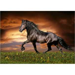 PUZZLE 1000 pcs Cavalo a... 2